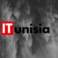 ITunisia Group logo - Similar company to Mitcis