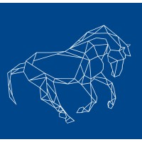 Bocconi Students Strategy Club logo - Similar company to 180 Degrees Consulting Milan