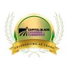 Capital Black Chamber of Commerce logo - Similar company to Sacramento Hispanic Chamber Of Commerce