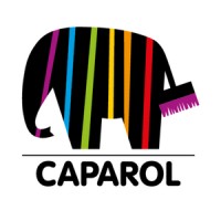 Caparol France logo - Similar company to Caparol