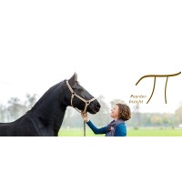 PaardenInzicht Training en Coaching met paarden logo - Similar company to Rework Ranch