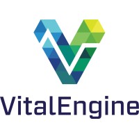 VitalEngine logo - Similar company to Fts