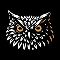 Partner Owl, LLC logo - Similar company to Stratiform (Your Salesforce Partner)