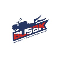 BUSAK logo - Similar company to Imece Network Cic
