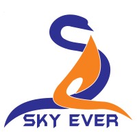 SkyEver Pharma Pvt Ltd logo - Similar company to A L Services