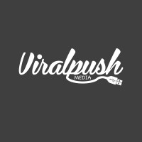 Viral Push Media logo - Similar company to Teamspark