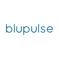 blupulse logo - Similar company to Skymind