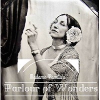 Madame Pamita's Parlour of Wonders logo - Similar company to Wemoon