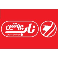 Nab Protein Kourosh logo - Similar company to Mgroup_Decorelite