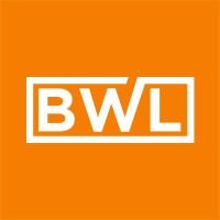 Business Website Leader logo - Similar company to Pro Website Traffic