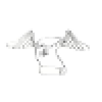Frequent Flyer, LLC