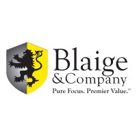 Blaige & Company logo - Similar company to Wayo Ventures