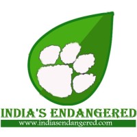 India's Endangered logo - Similar company to Ucla Center For Tropical Research