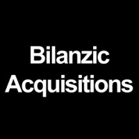 Bilanzic Acquisitions LLC logo - Similar company to Cook M&A Advisory Services