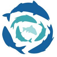 Global Ocean Health logo - Similar company to Studio 3 - Lmcreative