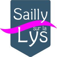 VILLE DE SAILLY SUR LA LYS logo - Similar company to Declic Access
