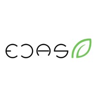 ECAS logo - Similar company to Avantsy Technologies Pvt. Ltd.