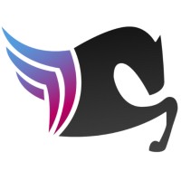 Pegasys Technologies logo - Similar company to Sg Computers Inc.