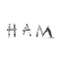 HAM Consulting Ltd logo - Similar company to Sweaty Feelings