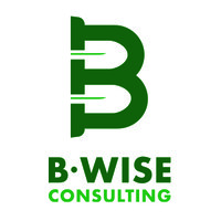 B-Wise Consulting, LLC