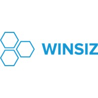 Winsizz Technologies logo - Similar company to Tech Solutions Inc
