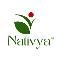 Nativya logo - Similar company to Fms Group