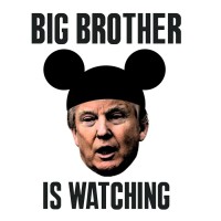 Big Brother logo - Similar company to <Digitalnomad>