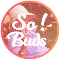 SoBuds logo - Similar company to Skrypton
