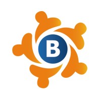 Briends logo - Similar company to N Bids