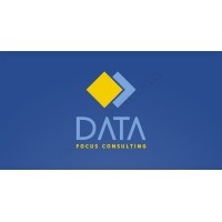 Data Focus Consulting logo - Similar company to Pt. Dynamic Advantage Partnerindo