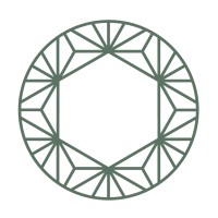 Connected Minds logo - Similar company to The Sam Centre
