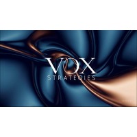 VOX Strategies logo - Similar company to W8Banaki