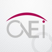 One-i Solutions logo - Similar company to B2X Partners