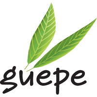 GUEPE logo - Similar company to Agiro