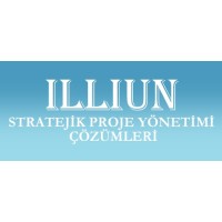 illiun Strategic Project Management Solutions logo - Similar company to Arepo Makine Sanayi Ticaret Limited Sirketi