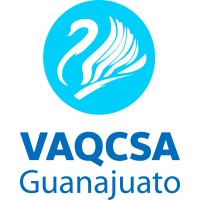 Volkswagen VAQCSA Guanajuato logo - Similar company to Grupo Vaqcsa
