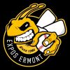 LES EXPOS D'ERMONT Baseball Softball logo - Similar company to Step By Step Organisation - Monaco