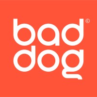 Bad Dog - Web Design, E-Commerce, Web Content, SEO + Branding logo - Similar company to Lemur E-Commerce
