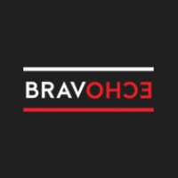 BravoEcho logo - Similar company to Image Guided Therapy, Llc