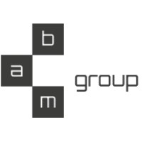 BAM Group logo - Similar company to Bam Group