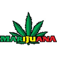 Medical marijuana online dispensary | marijuana for sale logo - Similar company to Marijuana Mind Podcast