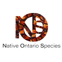 Native Ontario Species (NOS) logo - Similar company to Canadian Parks And Wilderness Society - New Brunswick Chapter (Cpaws Nb)