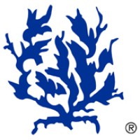 Tiferet Israel Congregation