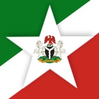 American-Nigerian Consulting Group, Llc