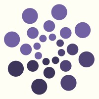 Purple Insights logo - Similar company to Cloud Partners