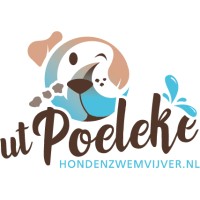 Hondenzwemvijver Ut Poeleke