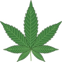 Wholesale White Label CBD and Hemp logo - Similar company to Zaza Thc
