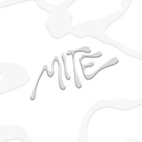 MITE logo - Similar company to Comete