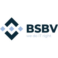 BSBV Inc. logo - Similar company to Incatalyst