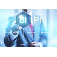 Business Intelligence Private Investigations logo - Similar company to Spectrum Intelligence